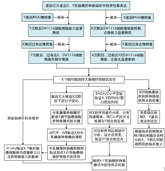 2025年度中国证监会招考职位腾博专业游戏诚信为本专业科目笔试考试大纲